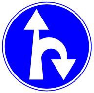 סע ישר או בפנית פרסה
ימינה, פנית פרסה
שמאלה אסורה.
חץ בצבע צהוב מורה על
כיוון הנסיעה לתחבורה
ציבורית כמפורט
. בתמרור 906
הוצב התמרור מעל
רמזור יחולו הוראות
הרמזור על התנועות
המותרות על פי
התמרור.
בחירת הנתיבים תהיה
. על פי סימון 263 או 62